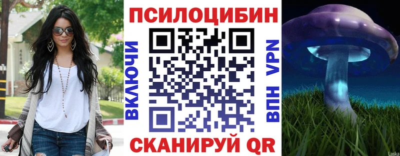 Купить закладки  Искитим  Псилоцибиновые грибы GOLDEN TEACHER 